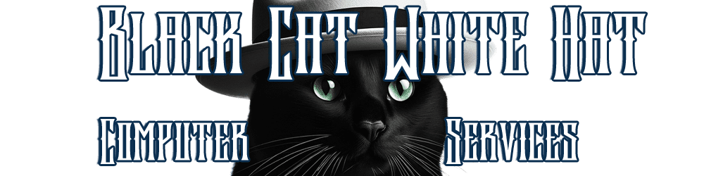 Black Cat White Hat Security